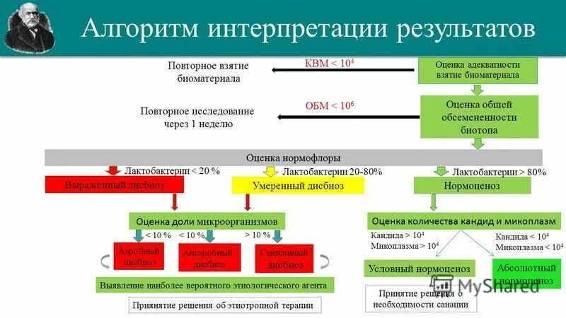 Уровни всероссийский международный