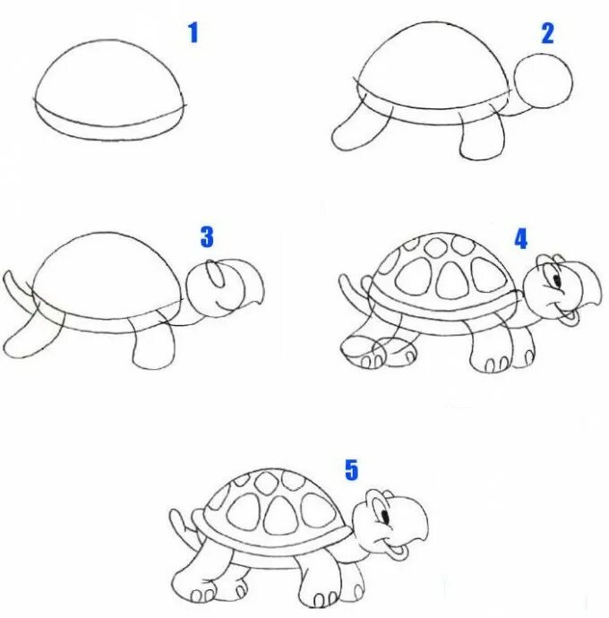 Поэтапное рисование черепахи. Черепаха поэтапное рисование для детей. Рисование черепахи для детей. Черепашка пошагово рисунок.