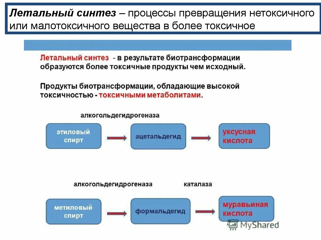 Педагогический синтез. Летальный Синтез. Летальный Синтез примеры. Летальный Синтез фармакология. Летальный Синтез в токсикологии.