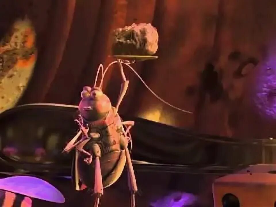 A bug s sleep. Not just a bug.