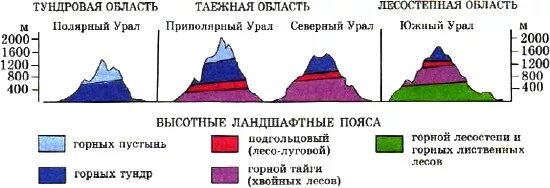 Природные зоны на Урале ВЫСОТНОЙ поясности. Высокая пояность уральских гор. Уральские горы Высотная поясность. Схема ВЫСОТНОЙ поясности уральских гор. Перечислите характерные черты природы урала 8