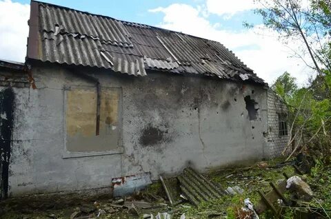 Еленовка