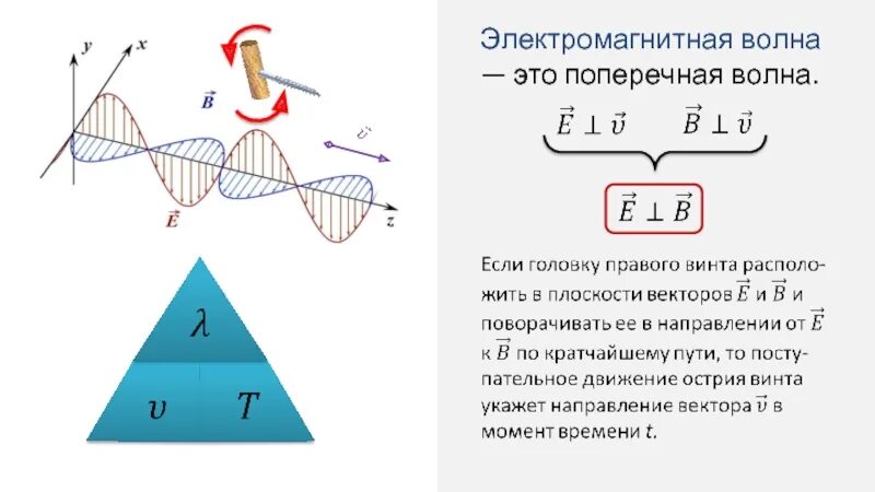 Свет является волной. Электромагнитная волна это поперечная волна или продольная. Поперечная электромагнитная волна. Скорость электромагнитной волны. Модель электромагнитной волны.