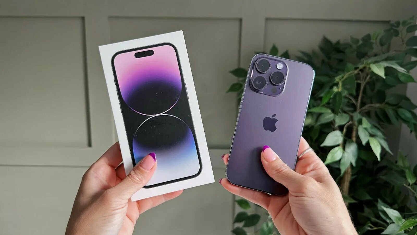 Iphone 15 pro симки. Apple 14 Pro Max Purple. Iphone 14 Pro 128gb Purple. Iphone 14 Pro Max 256gb Deep Purple. Iphone 14 Pro Max 256gb Purple.