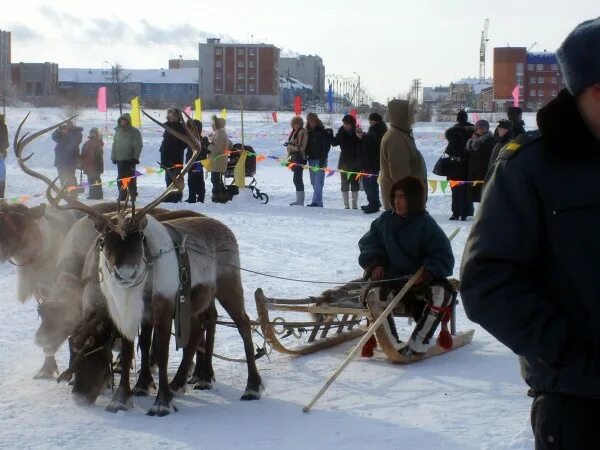 Праздник севера новый Уренгой. Праздник народов севера в новом Уренгое. Олени новый Уренгой праздник. Праздник народов севера новый Уренгой 2023 году.