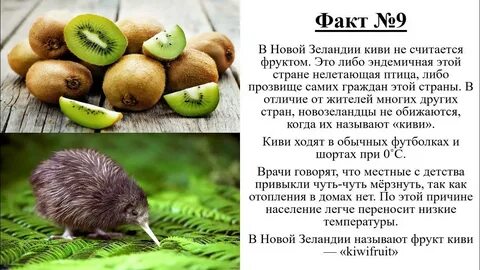Нова факты