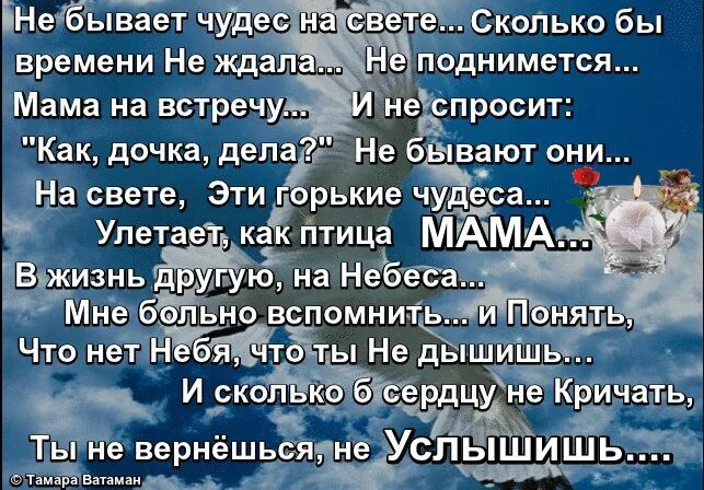 Света долго ждала