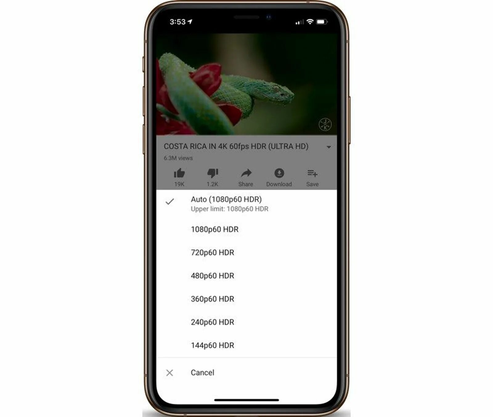 Максимальное качество видео ютуба. Youtube на айфоне. Поддержка HDR айфон 11 про. Просмотр ютуб на iphone 11. Максимальное качество видео на ютуб айфон 11.