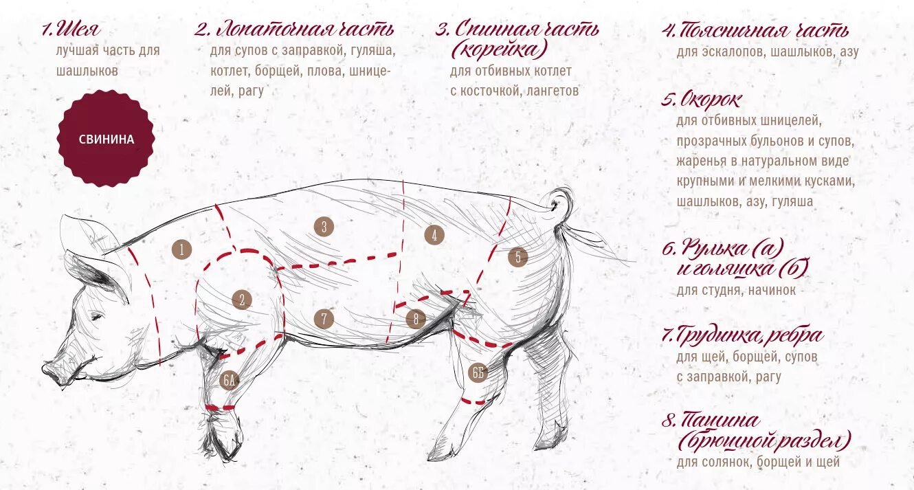 Какую часть баранины берут. Части свинины. Какую часть свинины брать на плов. Какая часть свинины лучше для плова. Свинина для плова какая часть.