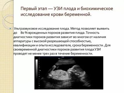 Зародыш определение