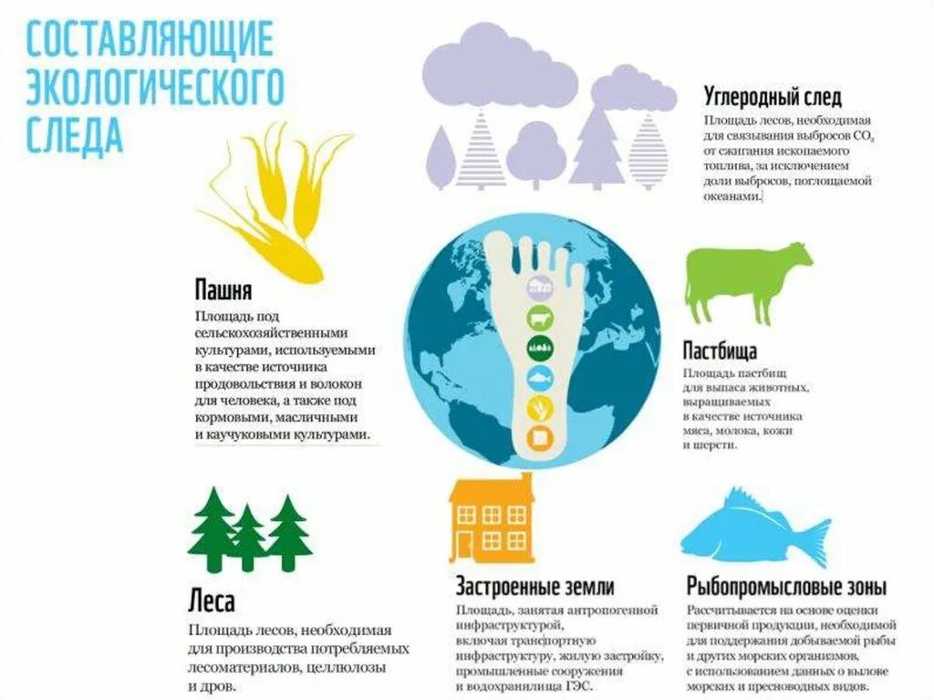 Экология мой след на планете. Составляющие экологического следа. Концепция экологического следа. Экологический след. Экологический след человека.