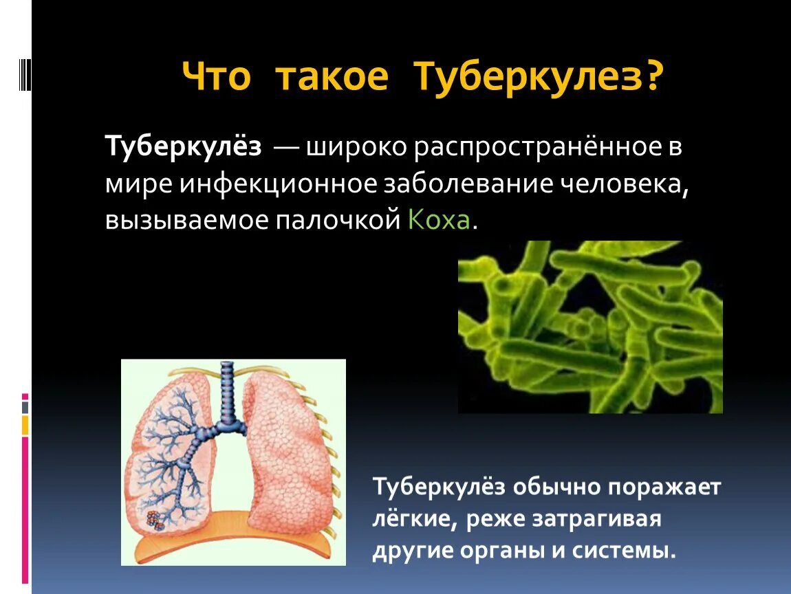 Палочка коха заболевание. Палочка Коха туберкулез. Туберкулез вызывается.