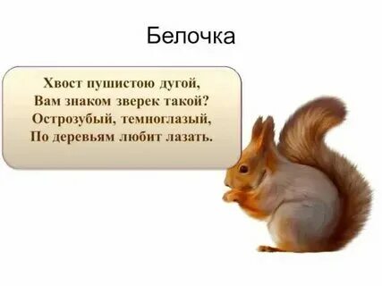 Детские песни про белочку