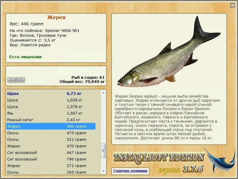 Какие рыбы обитают в Каспийском море. Рыба Каспийского моря список. Хищные рыбы Каспийского моря. Рыбы в Каспийском море список.