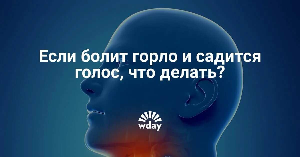 Что делать когда пропал голос. Горло болит голос пропал. Если сел голос и болит горло. Болит горло исчез голос. Болит горло с пропаданием голоса.