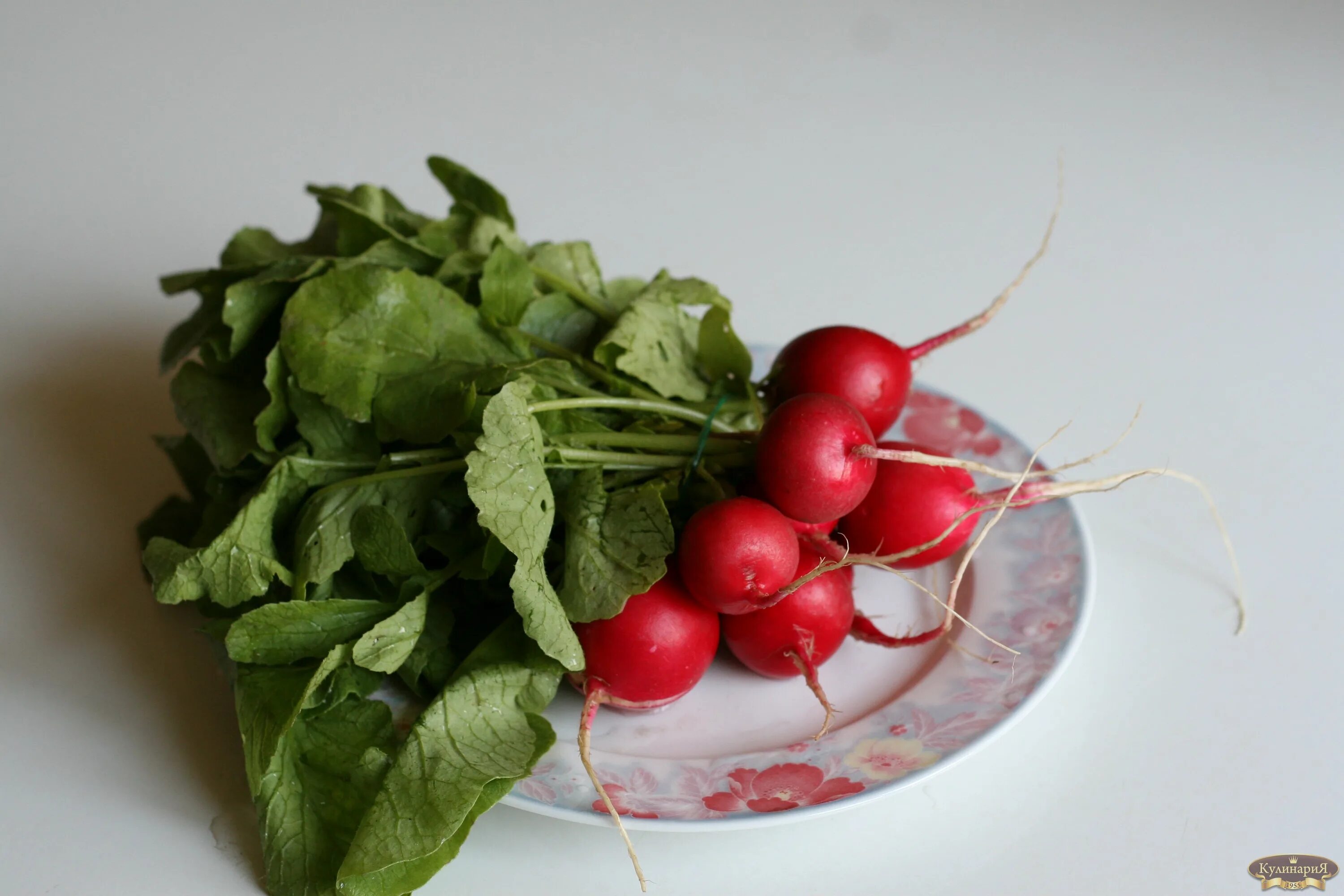 Редис Королева Марго. Редис Сан Саныч. Редис Белсай. Свежая редиска. Вкус редиски