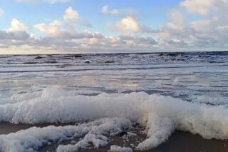 Белое море соленее черного