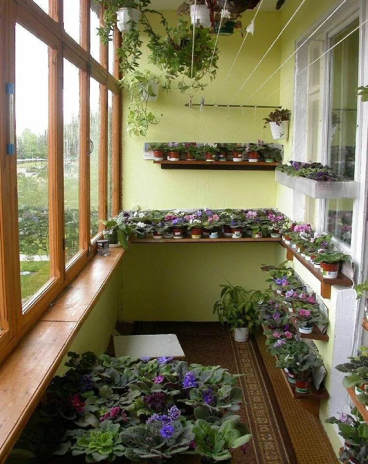 Balcony gardening. Сад оранжерея на балконе. Балкон с цветами. Зимний сад на балконе. Цветы на застекленном балконе.