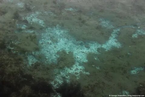 Белое пятно в море