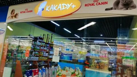 Какаду могилев