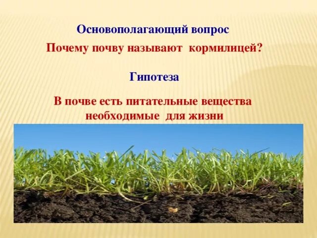 Почвенно растительные условия. Запас питательных веществ в почве рисунок. Питательные вещества в почве. Картинка запас питательных веществ в почве. Питательные вещества в почве рисунок.