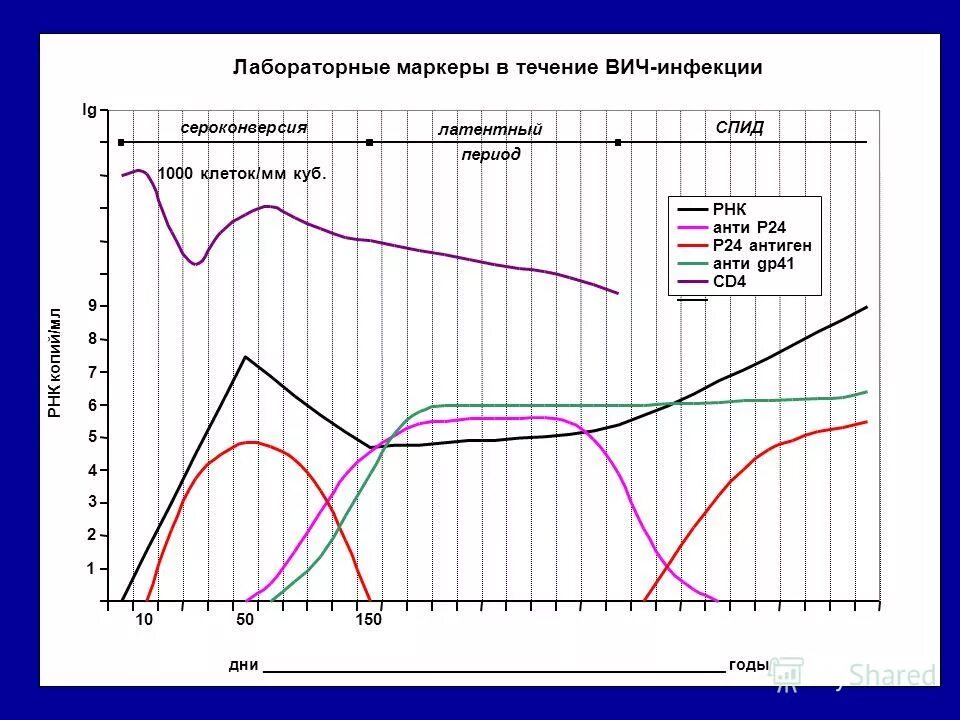 Р24 вич 1. Антиген р24 ВИЧ. Динамика маркеров ВИЧ. Период появление антигена ВИЧ. Основные маркеры ВИЧ инфекции.