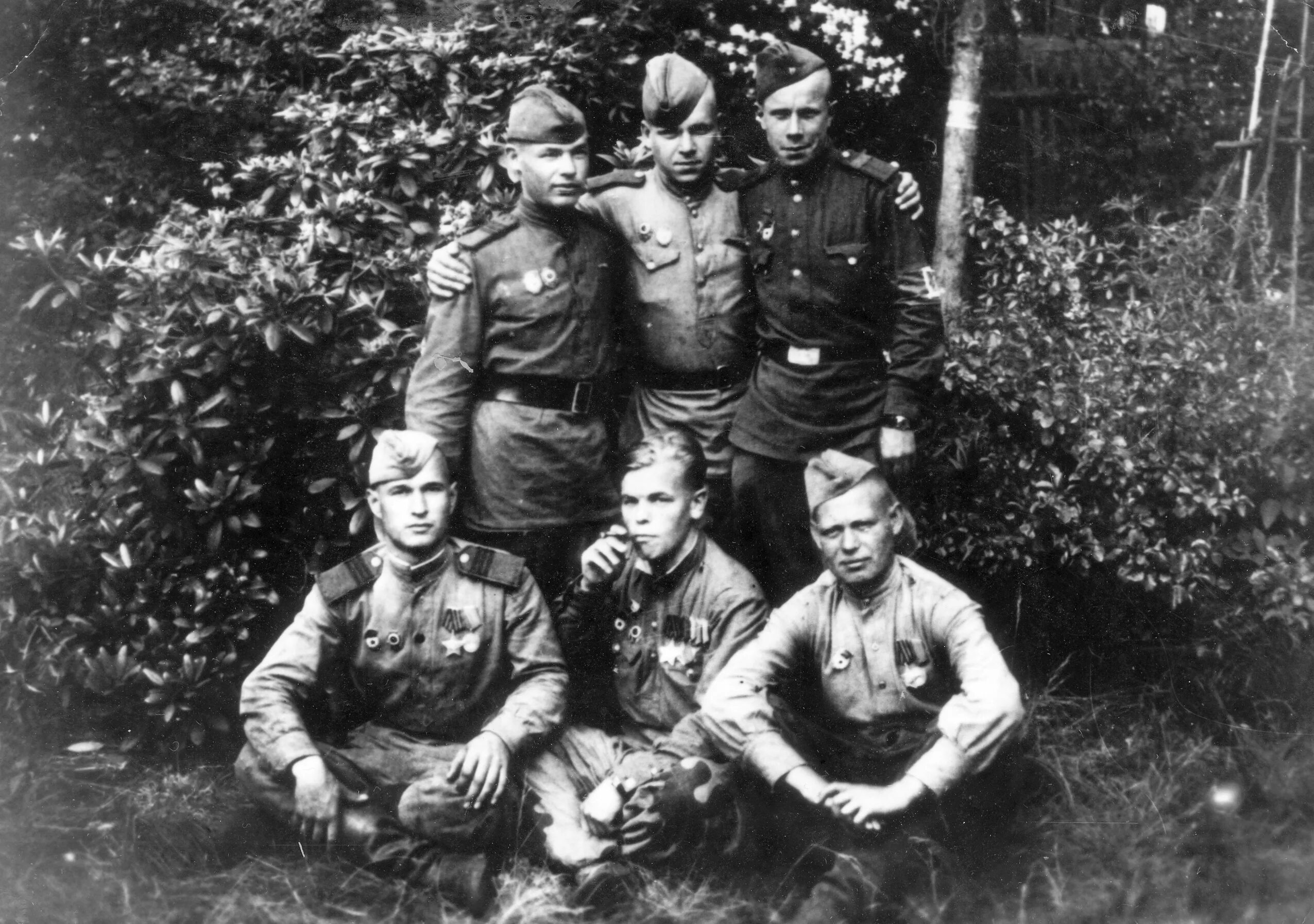 Стрелковый полк ВОВ 1941. Гвардии старшина ВОВ.