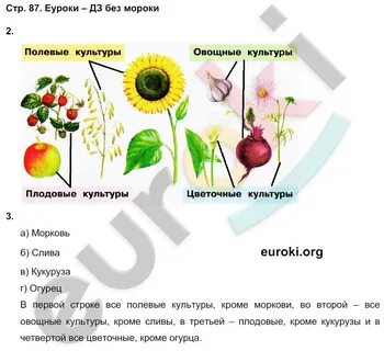 Окружающий мир 4 класс 62