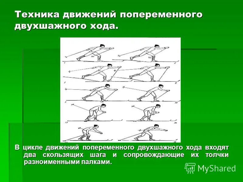 Попеременный 2-шажный лыжный ход. Передвижение по переменным двухшажным ходом. Техника переменной двухшажный ход. Попеременный двухшажный ход фазы. Попеременный двухшажный ход на лыжах.