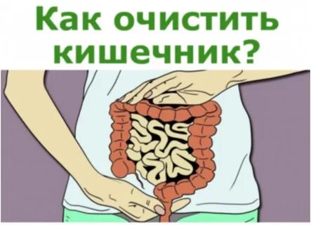 Как рисовать кишки