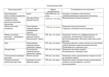 Развитие растений таблица