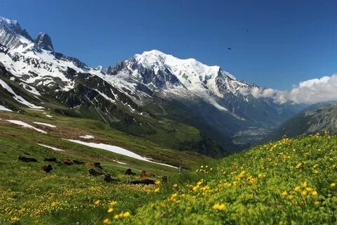 Монблан фото