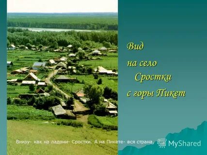 Сядь вид