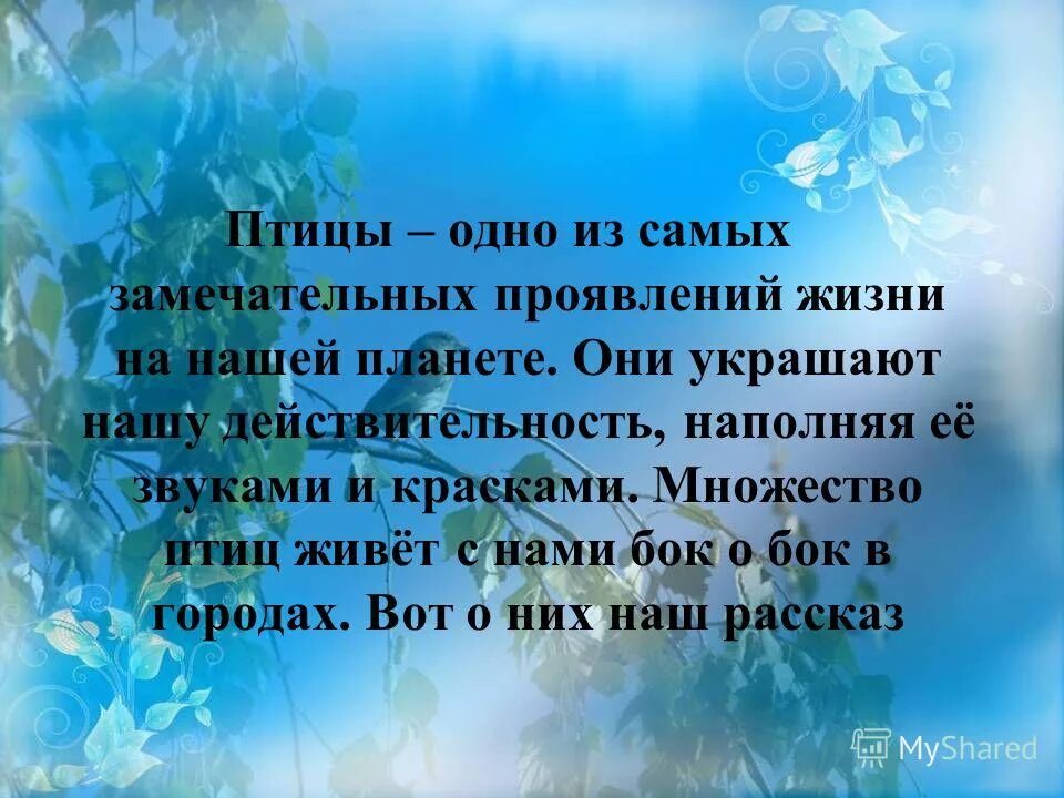 Школа это один из самых замечательных времен жизни. Замечательный проявить