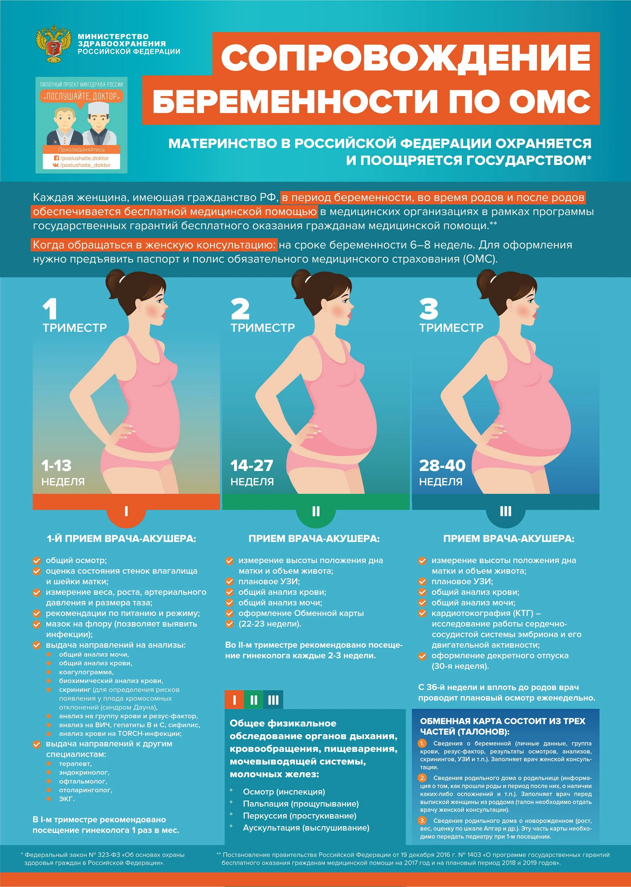 Какие анализы сдают в первом триместре беременности. Анализы беременным 1 триместр какие. Анализ на гормоны при беременности. План ведения беременности по неделям. Какие анализы сдают в первом триместре беременности.