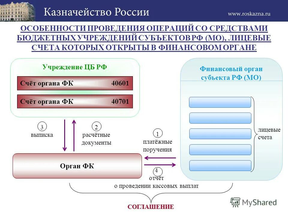 Казначейство контакты