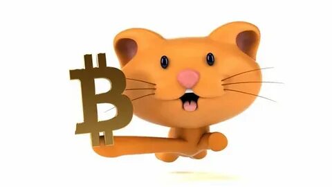Биткоин кетс