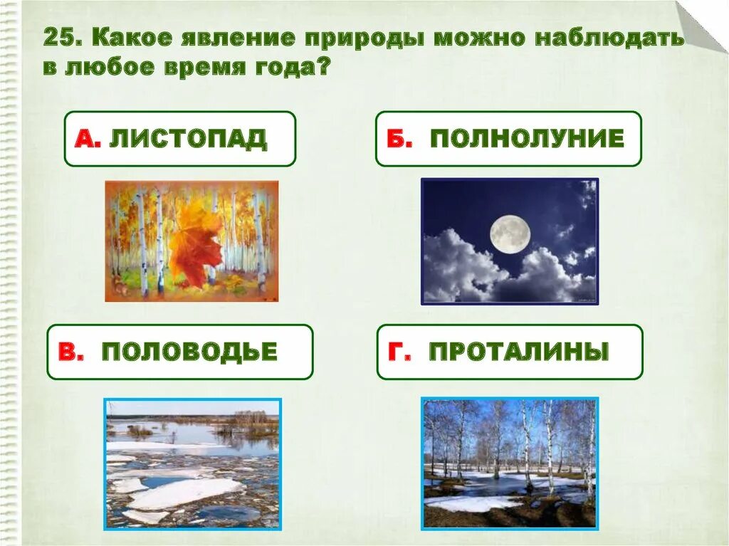 Явления живой природы. Зимние явления в живой природе. Природные явления по временам года. Какие явления природы можно наблюдать. Назови 2 явления природы