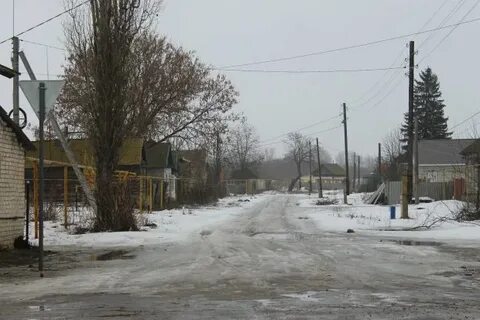 Погода лебяжье волгоградская камышинский