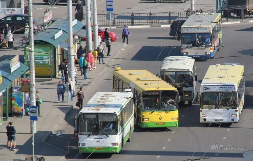 Липецк транспорт автобусы. Липецкий автобус. Общественный транспорт Липецк. Тра Липецк. Автобусы Липецк.