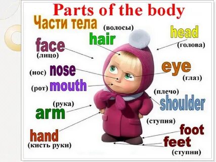 Body транскрипция