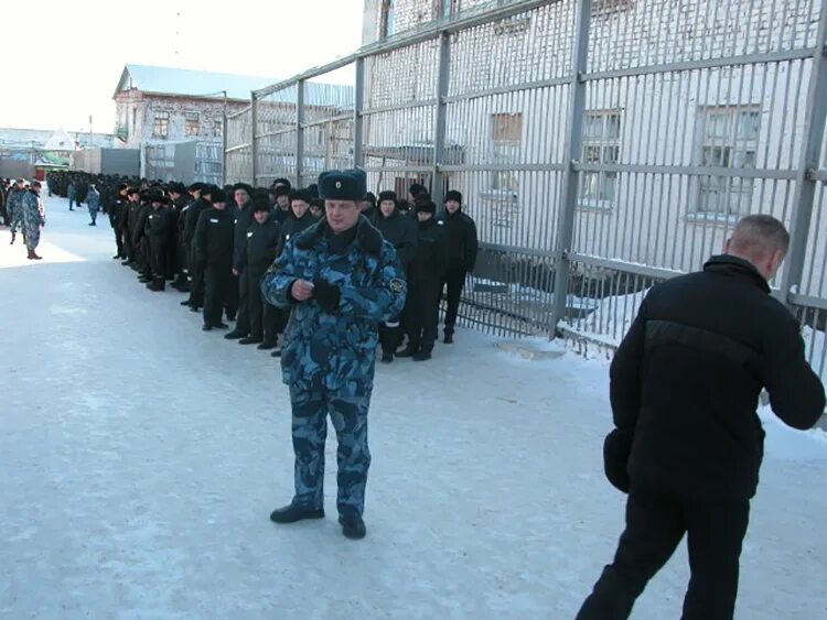 Ик 3 новокуйбышевск тройка. Колония поселения ик 19 иркутск. Уфсин сухиничи фку ик-5. Куета 29 барнаул. Ик 13 пермский край.