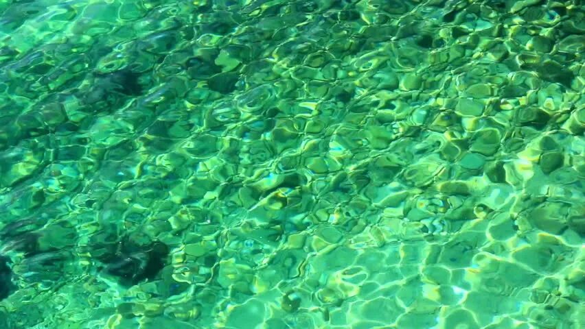 Вода ярко зеленого цвета. Зеленая вода текстура. зеленая вода эстетика. темно зеленая вода.
