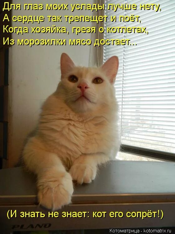 ждать полчаса