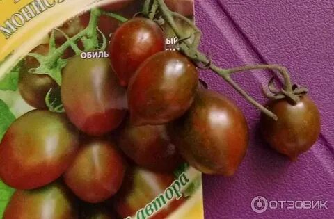 Томат монисто изумрудное