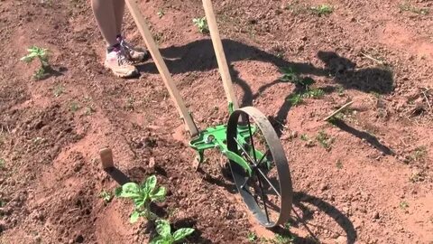 Пропольник для грядок электрический
