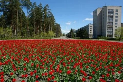 Заречный пензенская область на 3 дня