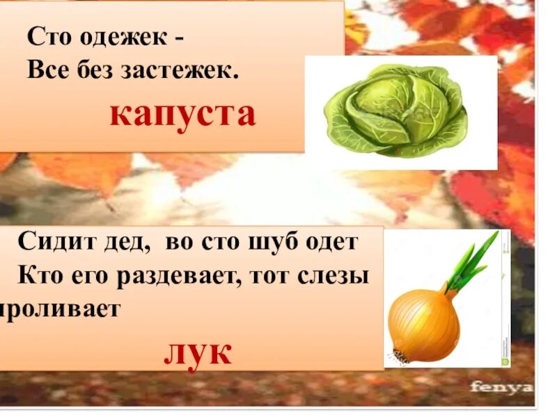 Загадку 100 одежек. Сто одёжек и все без застёжек загадка. сто одежек, и все без застежек. 100 одежек и все без застежек. сто одежек без застежек.