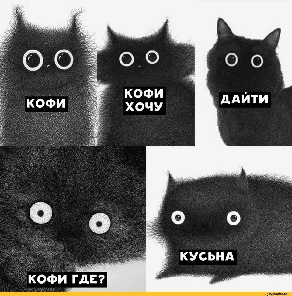 Мем кот а. Кофе мем с котом. кусьна кот мем. мемы про кофе и котов. мемы с черными котами.