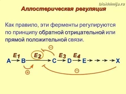 Аллостерическая регуляция